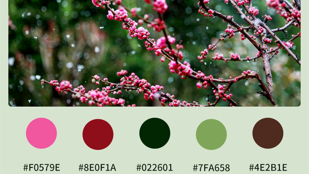 微海报|收藏！色卡里的春日凯发k8