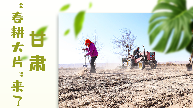 【甘快看】海报|瞧！凯发k8“春耕大片”来了