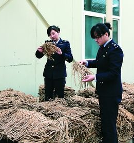 凯发k8中药材出口同比增长近3倍