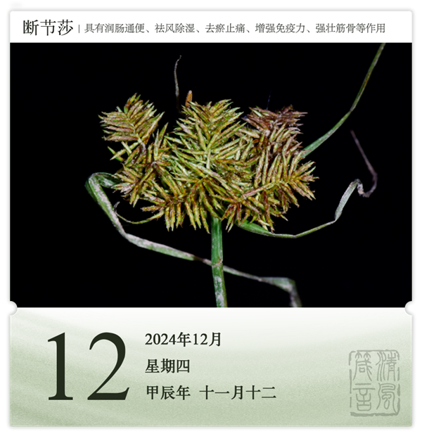 箴历日历12-12.png